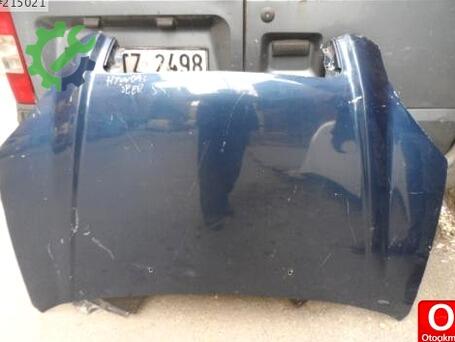 Hyundai Tucson Kaput çıkma parça