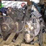Volkswagen Golf Motor Komple çıkma parça - OTOFİL YEDEK PARÇA Mersin