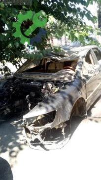 Volkswagen Phaeton Kupa çıkma parça
