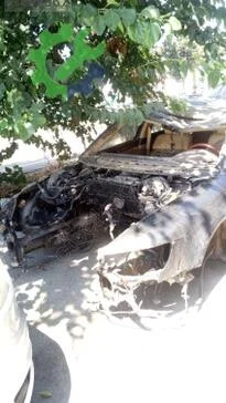 Volkswagen Phaeton Kupa çıkma parça