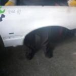 W202 C-CLASS 5 ADET SAĞ ÖN ÇAMURLUK MERCEDES ÇIKMA PARÇA
